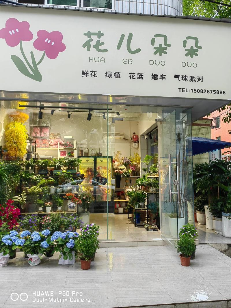 鲜花传递温暖与爱——生日鲜花速递行业洞察